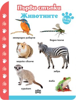 Първи стъпки: Животните (12-18 месеца)