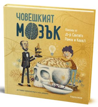 Човешкият мозък, Д-р Пабло Баречегурен, Timelines, 9786197727166