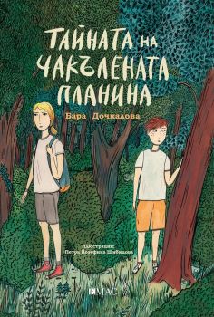 Тайната на чакълената планина