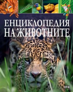 Енциклопедия на животните (тъмно синя корица) - Пан