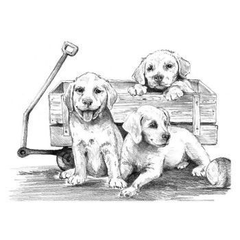 Рисуване графика Royal 29х39 - Кученца в количка